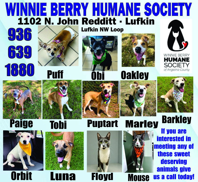 Pet of The Week Ad